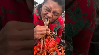 Amazing Eat Seafood Lobster, Crab, Octopus, Giant Snail, Precious Seafood🦐🦀🦑Funny Moments 3