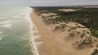 Wave erosion and evolution of a new dunefield phase