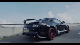 V8 American Muscle Roar! Ford Mustang GT MK6 Facelift w/ ARMYTRIX Cat-back Valvetronic Exhaust