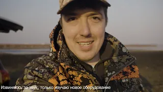 охота на юге с подсадной. весна 23.04.2021. hunting in the south with decoy. spring 4K