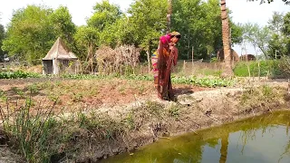 Cast Net Fishing|Village Woman Catching Fish With A Cast Net.(Part:237)