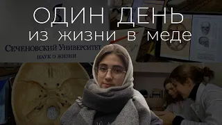 ОДИН ДЕНЬ из жизни студента в меде | анатомия, переезд, учеба в сеченовском