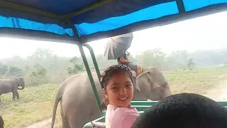 Blessings from elephant Shova