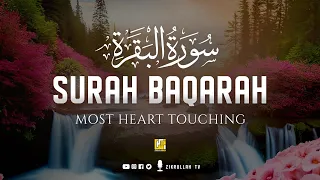 Surah Al Baqarah سورة البقره | THIS WILL TOUCH YOUR HEART إن شاء الله | Zikrullah TV