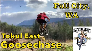 MTBing Goosechase, in Tokul East... Fall City Washington