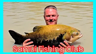 Samui Fishing Club 2/2 #fishing #thailand #fish #video