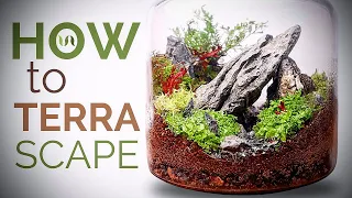 How to make a terrarium (Simple Terrascape in an Ikea jar)