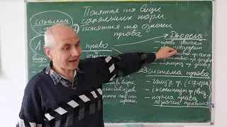 Правознавство, Соціальні норми. Право