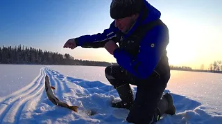 Зарядил Самоловки на Щуку!Проверил через Два Дня!Рыба есть!!!