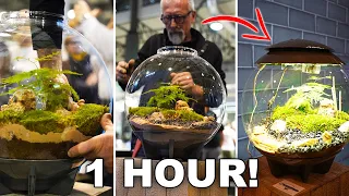 Landscaping a BiOrb Air in 1 hour with Ezio Cammarata!