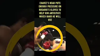 Chavez Head Placement for Inside Fighting #boxing #boxingtechnique #boxeo #boxingtraining #boxeomx
