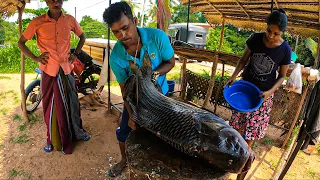 Amazing!! 25Kg Big CatlaFish Cutting Skills in Village with a Sharp Knife Man Showcasing Exceptional