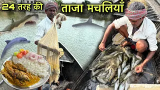 आज से पहले इतना Tasty Fish Curry नहीं खाया होगा | आपके सामने मछली पकड़ कर बनाते | Fish Fry Recipe