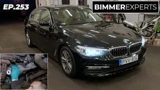 Bimmer Experts, Ep.253 - BMW 530d 190.000km, szervizelt, milyen valójában? / Rolls Royce futómű jav