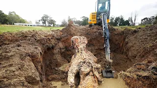 Pulling Out The Largest Stump I've Ever Seen!!