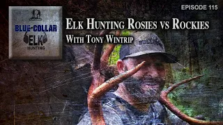 Elk Hunting Rosies vs Rockies with Tony Wintrip