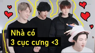 [BTS FUNNY MOMENTS #37] NHÀ CÓ 3 CỤC CƯNG | THỎ ĐẦU DỪA