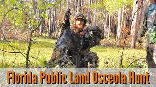 Florida Public Land Osceola Turkey Hunt 2020