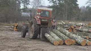 Трактор Т-40 за работой в лесу с лебедкой и лопатой