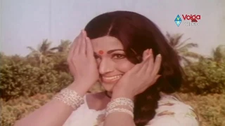 Non Stop ANR And Vanisri Hit Songs - Telugu Old Hit Songs - 2016