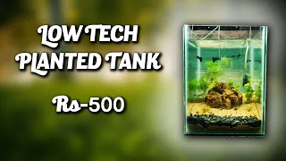 Planted Aquarium Low cost below Rs 500