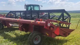 Massey Ferguson 6713 + ЖВЗ-7,0 косим тритикале на сенаж