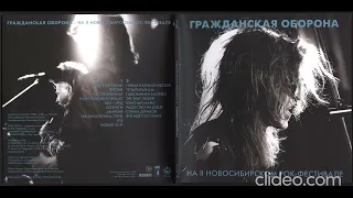 Гражданская Оборона - Выступление на II новосибирском рок-фестивале (Bull Terrier Records,BTR-LP 02)