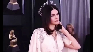 Lana Del Rey At The Grammys 2018 | Everyman Gets His Wish