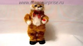 Кот Танцор      www.megasurprise.ru