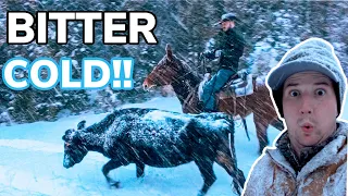 Saving Cattle From Blizzard! Vlog #35