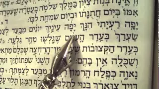 Song of Songs reading Hebrew Ashkenaz Rabbi Weisblum שיר השירים פסח נוסח אשכנז