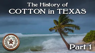 The History of Cotton in Texas, Part 1 - Texas' First Cotton Yarns