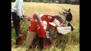 Boaz mini combine   harvesting winter wheat 2014