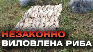 Браконьєр на водоймах Вінниччині наловив риби на майже на 800 000 гривень