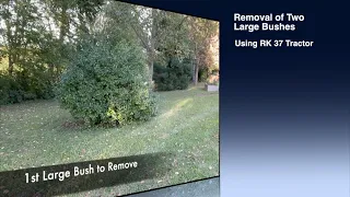 RK Tractor 37 Boxwood Bush Removal