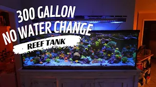 300 GALLON Reef Tank Perfection: ZERO Water Changes, All Beauty!! 4K