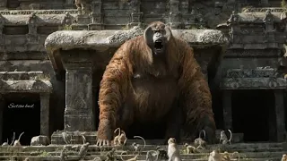 fighting scene - The Jungle Book (2016) in hindi dubbed