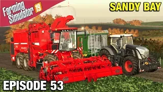 BEET HARVEST Farming Simulator 19 Timelapse - Sandy Bay Seasons FS19 Ep 53