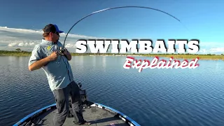 Types of Swimbaits - What you need to know (Surprise Catch)