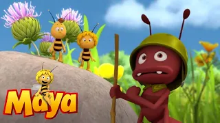 No sleep for Maya - Maya the Bee - Episode 11