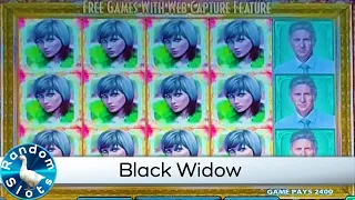 Black Widow Slot Machine Win