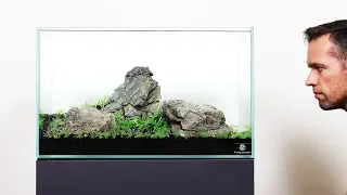 Aquascape Tutorial - 3 Stone Iwagumi