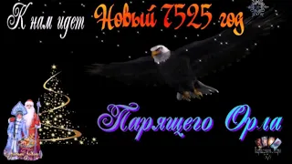 От чистого сердца поздравляю друзей с наступающим новым 2019 годом Парящий Орел