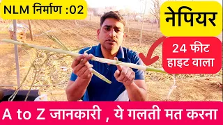 NLM Work Start: Video-02 👍 Napiar A to Z जानकारी : Nisar Indian NLM Goat Farming