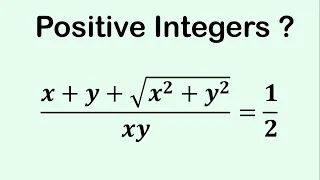 Cracking the Diophantine Challenge: Solutions for Positive Integers