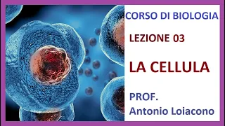 CORSO DI BIOLOGIA - Lezione 03 - La Cellula