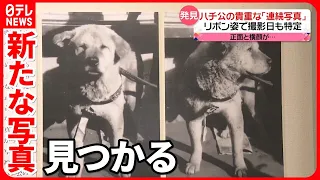 【忠犬ハチ公】"連続写真"発見  外国人にも人気「日本で一番有名な犬」