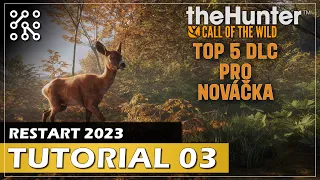 TUTORIAL 03 TOP DLC | theHunter: Call of the wild CZ |  Česky