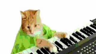 Wonderful Pistachios Commercial - David Guetta Kitty