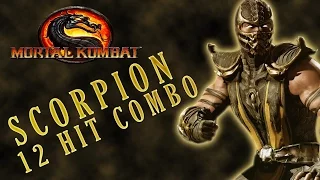 Mortal Kombat 9 - Scorpion - 12 hit 50% (Enhanced) X-Ray Combo